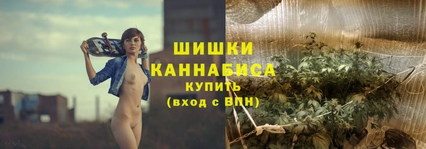 PSILOCYBIN Елизово