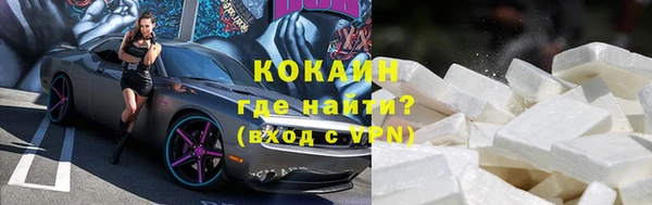 дмт Ельня