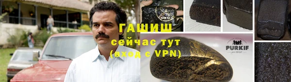 дмт Ельня