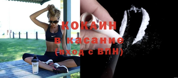 дмт Ельня