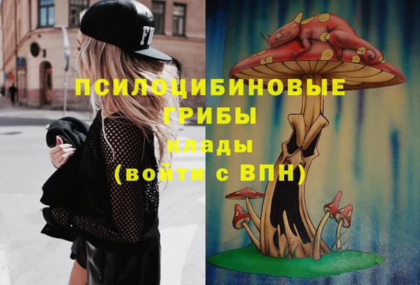 дмт Ельня