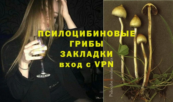 PSILOCYBIN Елизово