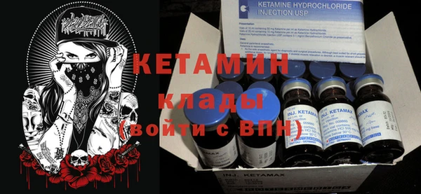 дмт Ельня