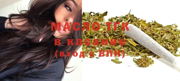 дмт Ельня