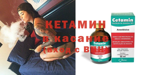 дмт Ельня