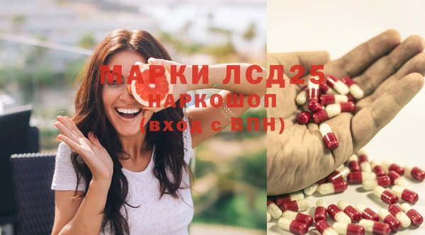 PSILOCYBIN Елизово