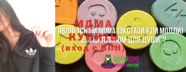 дмт Ельня