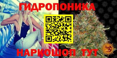 дмт Гагарин