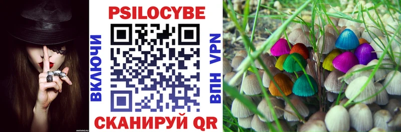Псилоцибиновые грибы мухоморы купить цена маркетплейс формула Ирбит
