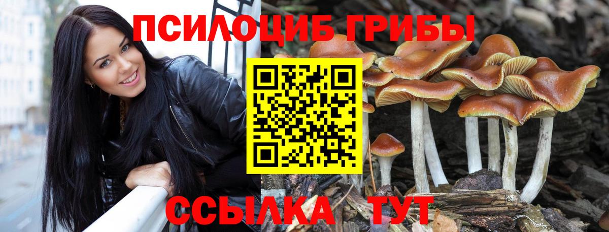Ирбит  Псилоцибиновые грибы Cubensis  Вход с VPN 