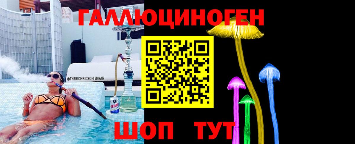 Псилоцибиновые грибы Psilocybe  Галлюциногенные грибы Psilocybine cubensis  Ирбит 